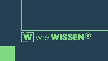 Bild: SWR W wie Wissen