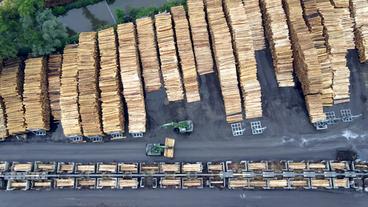 Holzstapel im Sägewerk