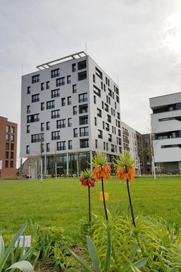 Holzhochhaus Skaio in Heilbronn