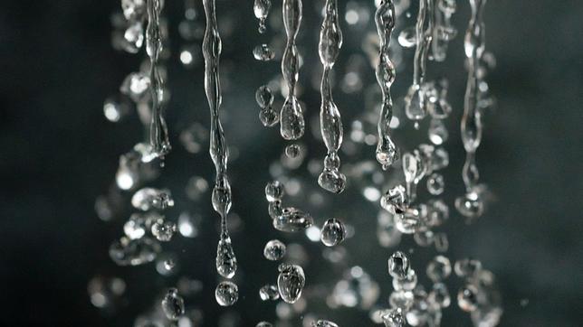 Bild: dpa Wassertropen