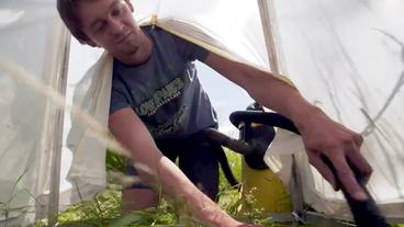 Ein Wissenschaftler sammelt Insekten mit einem Staubsauger.