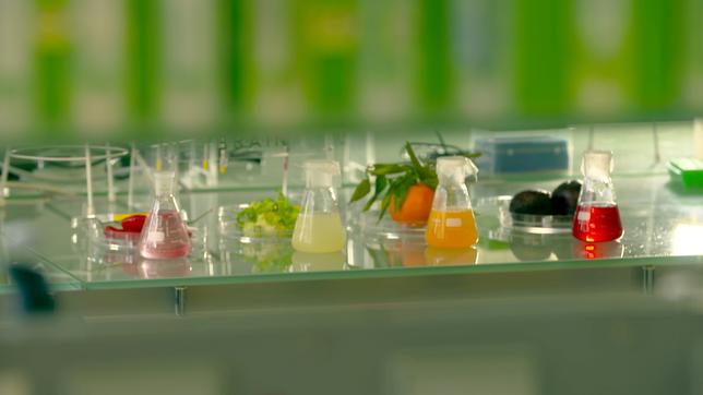In einem Labor stehen kleien Fläschchen mit Flüssigkeiten, dahinter Obstsorten.