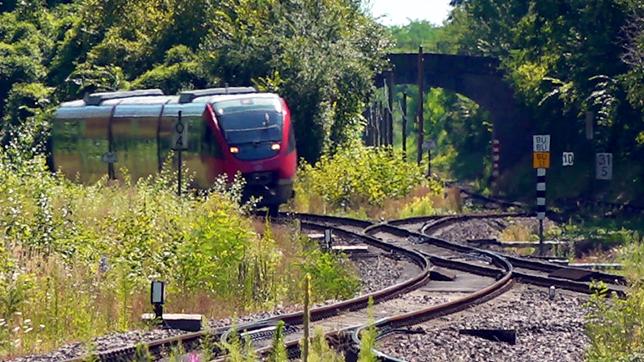 Ein Regionalzug erreicht einen Bahnhof auf dem Land