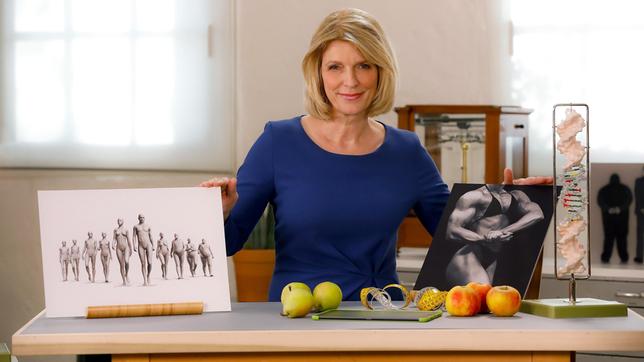 Der vermeintlich perfekte Körper, wer hätte ihn nicht gern? Aber gibt es überhaupt ein optimales Körpergewicht? Und wie aussagekräftig ist der sogenannte Body-Mass-Index (BMI)? Susanne Holst kennt die Antwort, bei „Wissen vor acht – Mensch“.