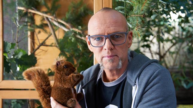 Auf der Beliebtheitsskala der Menschen rangieren die Eichhörnchen ganz oben.