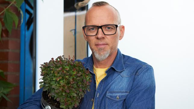 Dass Pflanzen Mozart mögen, weiß man ja. Aber sind sie auch so schlau, dass sie gezielt auf Schädlinge reagieren können? Thomas D zeigt, wie die Berberitze sich gekonnt gegen feindselige Larven wehrt.