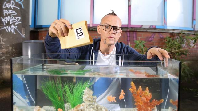 Bild: ARD/Ralf Juergens Der Anstieg von Kohlenstoffdioxid in der Atmosphäre führt zu unerwünschter globaler Erwärmung. In den Ozeanen sorgt der Anstieg für Übersäuerung. Thomas D zeigt die fatalen Folgen für die Meeresbewohner bei "Wissen vor acht - Natur".