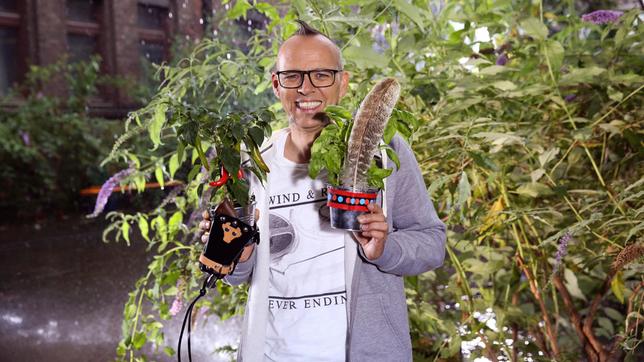 Je nach Nachbar wachsen Pflanzen besser oder schlechter. Wie ist dies möglich? Kommunizieren sie miteinander? Dass es auch bei den Pflanzen auf die "Good Vibrations" ankommt, enthüllt Thomas D bei "Wissen vor acht - Natur".