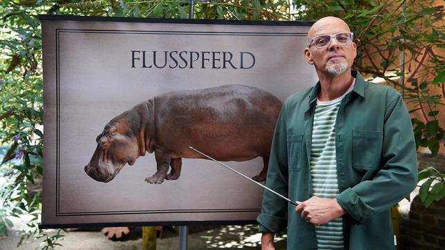 Tagsüber kühlen sich Nilpferde im Wasser ab und verdauen. Die Flusspferde fungieren so als eine Art Nährstoffpumpe vom Land in die Flüsse und Seen. Wie das genau funktioniert und was Silizium damit zu tun hat – das erklärt Thomas D bei Wissen vor acht - Natur.