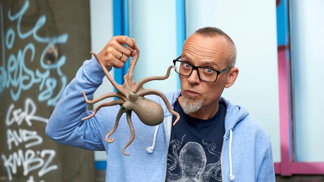 Thomas D widmet sich den Tintenfischen, die eigentlich gar keine Fische sind, sondern Weichtiere - ohne Skelett. Dass die Tiere trotzdem sehr kreative Techniken besitzen, um ihre Beute zu erlegen, erklärt er bei Wissen vor acht - Natur.