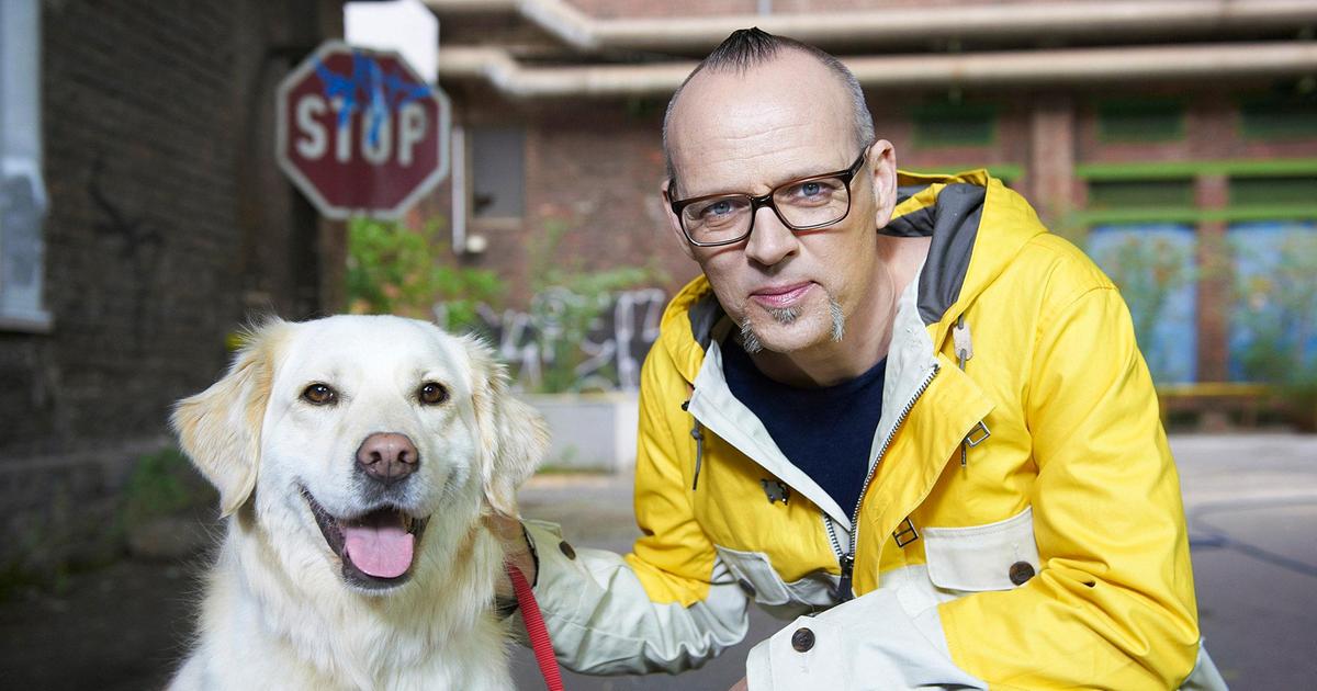 Warum stinkt ein nasser Hund? Wissen vor acht Natur ARD Das Erste
