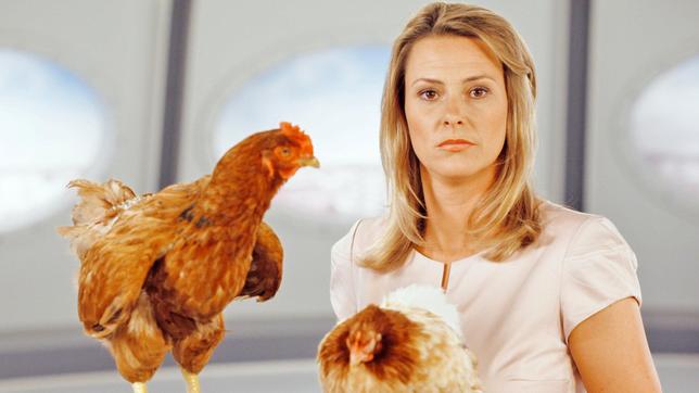 Hühnerfleisch ist sehr beliebt. Doch was passiert eigentlich mit den Tonnen an Hühnerfedern? Dass der Abfall schon bald die Ressource Öl entlasten könnte, erfährt man bei Anja Reschke in "Wissen vor 8 - Zukunft".