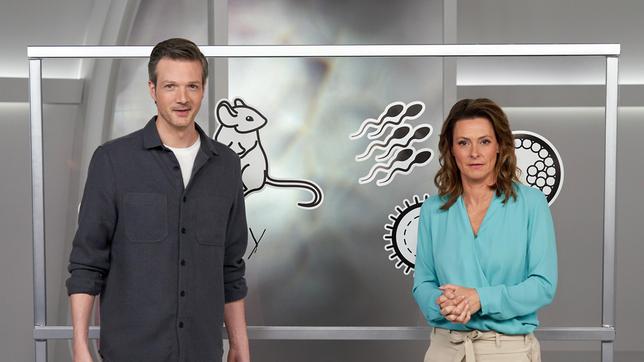 Reproduktionsmediziner haben Stammzellen so manipuliert, dass sich daraus Embryos entwickelten. Also Leben ohne Mutter oder Vater – nur aus Zellspendern! Diese Fortschritte werfen auch moralische Fragen auf, da solche aus Zellen kreierte künstliche Embryonen bisher keinen gesetzlichen Schutz genießen. Anja Reschke und Adrian Pflug sprechen über ethische Aspekte moderner Forschung -  in "Wissen vor acht - Zukunft".