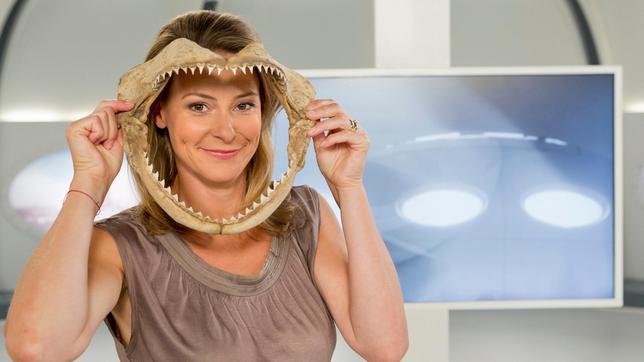 Bild: ARD/Frank Dicks Wenn man eine Zahnlücke und das zwölfte Lebensjahr schon überschritten hat, gibt es bekanntlich nur eine Maßnahme: Zahnersatz. Andere Lebewesen sind da weiter und lassen Zähne einfach nachwachsen. Dass auch der Mensch bald dazu in der Lage sein könnte, berichtet Anja Reschke.
