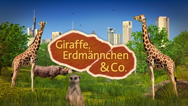 Bild: Das Erste Giraffe, Erdmännchen & Co.