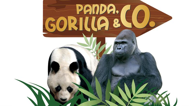 Panda Und Co Panda Und Co