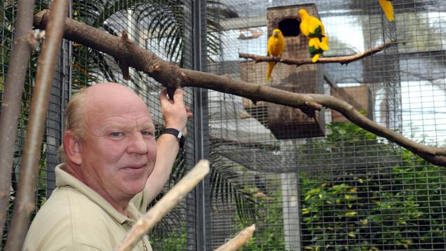 Martin Kloppenburg sorgt als leitender Papageienpfleger auf der Vogelzuchtsation für die richtigen Zuchtergebnisse.