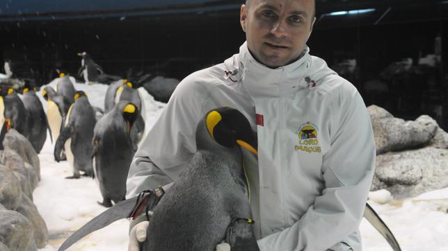 Martin Leber, stellvertretender Chef des Pinguinariums
