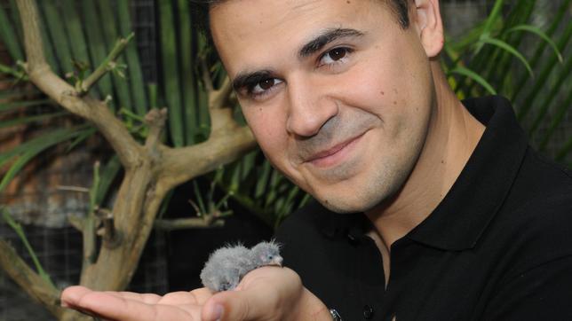 Biologe Rafael Zamora mit einem Papageien-Küken