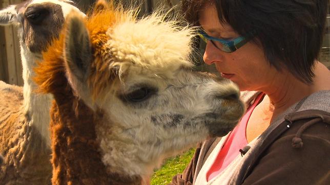 Heilpädagogin Heike Höke mit einem Lama