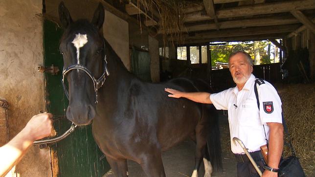 Norbert Rabe, Leiter der Reiterstaffel Hannover, mit dem Pferd Dejean