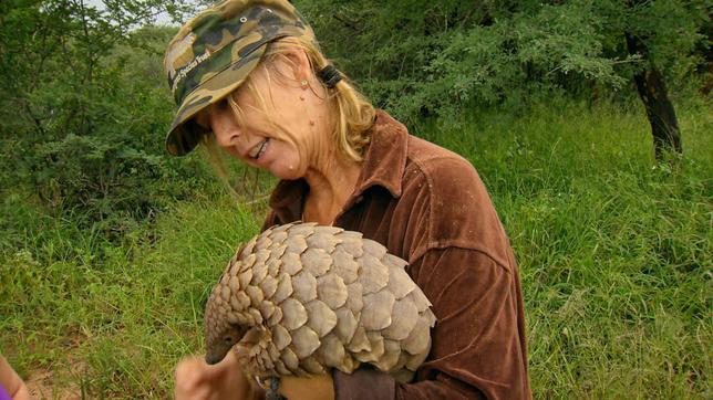Bild: Cosmos Factory & Eikon Südwest/Christian Marohl Maria Diekmann mit einem Pangolin.