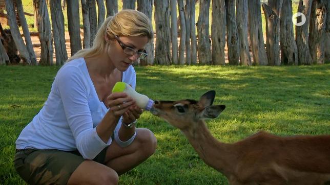 Bild: SWR Das Waisenhaus für wilde Tiere 9