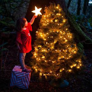 Ein kleines Mädchen in einem roten Kleid steht auf einem Paket mitten im Wald vor einem mit Kerzen erleuchteten Tannenbaum und versucht einen strahlenden Stern auf die Spitze zu setzen.