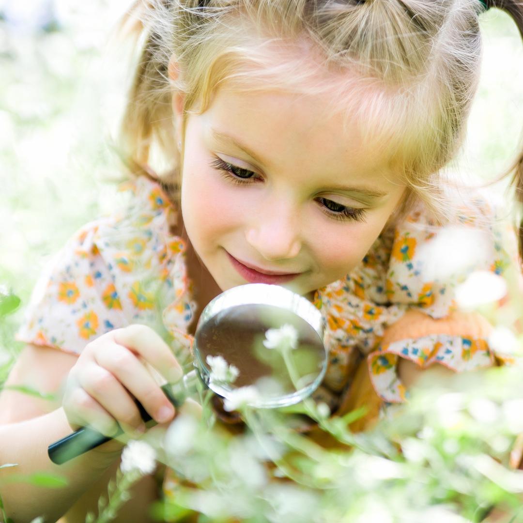 Kleines Mädchen schaut Pflanzen durch eine Lupe an