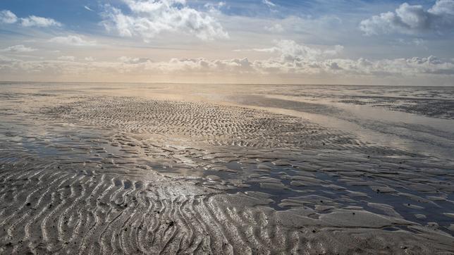 Bild: NDR/Martina Andrés/Doclights Naturfilm Unsere Meere – Naturwunder Nordsee (Folge 1) Das Wattenmeer - bis zu 40 Kilometer zieht sich das Wasser bei Ebbe zurück.