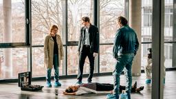 Tatort: Ein Tag wie jeder andere