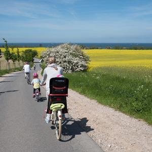 Eine Familie fährt mit ihren Fahrrädern am 25.05.2017 bei Kühlungsborn (Mecklenburg-Vorpommern) in Richtung Ostsee an einem Rapsfeld entlang.