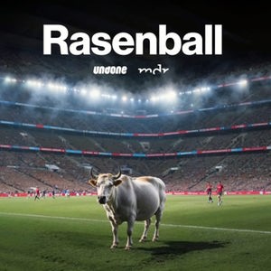 Rasenball: Red Bull und der moderne Fußball