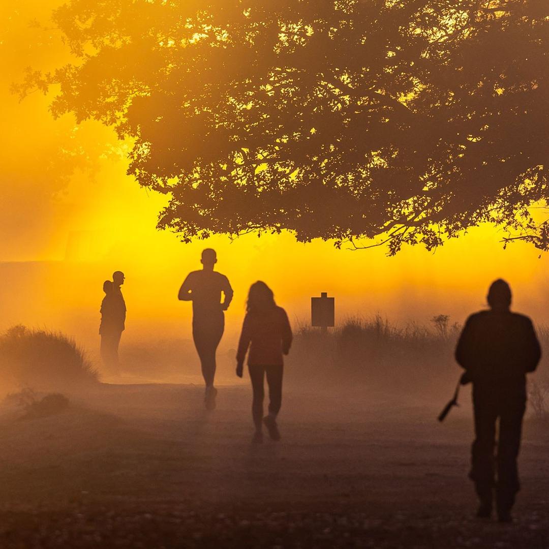 Menschen joggen bei Sonnenaufgang in einem Park.