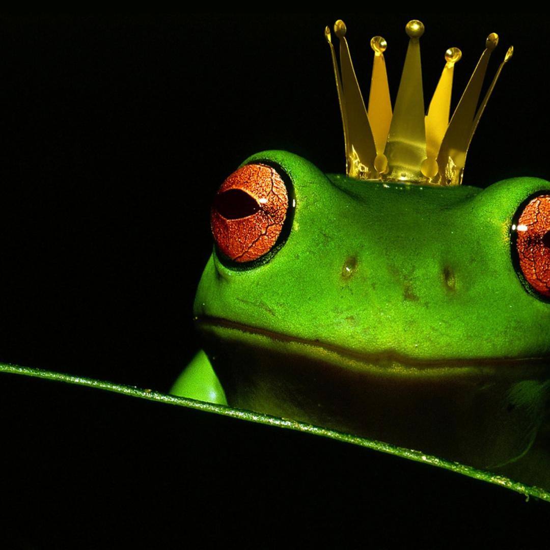 Frosch mit kleiner Krone