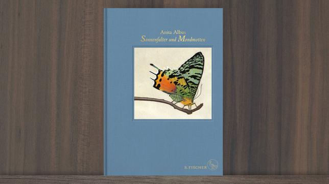 Das Cover von "Sonnenfalter und Mondmotten"