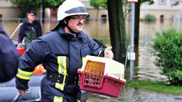 Ein Feuerwehrmann trägt eine Katze