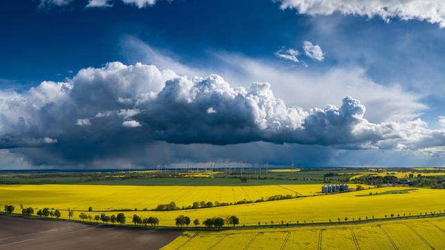 Bild: privat/Andy Bünning Diese beeindruckende Wolkenformation türmte sich südlich von Pasewalk (Mecklenburg-Vorpommern) auf, an der Landesgrenze zu Brandenburg.