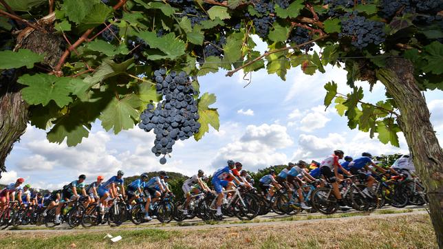 Bild: dpa/Bernd Thissen Deutschland Tour: Das Feld der Fahrer fährt durch die Weinberge