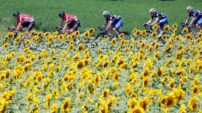 Bild: Das Erste Die 7. Etappe der Tour de France