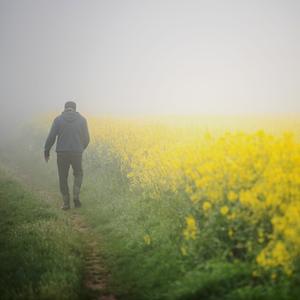 Ein Mann geht am Morgen im Nebel spazieren.