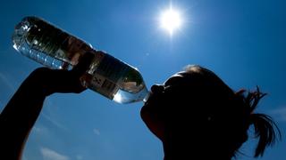 Die Dresdnerin Katharina (27) trinkt am Freitag (02.07.2010) während eines Sonnenbades bei Temperaturen um 31 Grad in den Elbwiesen in Dresden einen Schluck Wasser aus einer Flasche.
