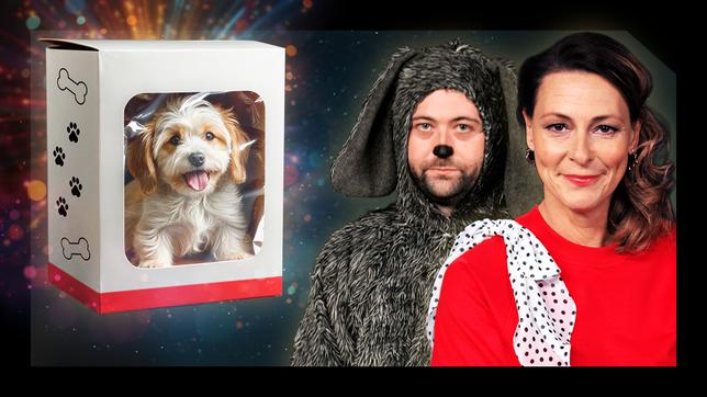 Reschke Fernsehen: Hunde-Boom · Das Geschäft hinter den süßen Augen 