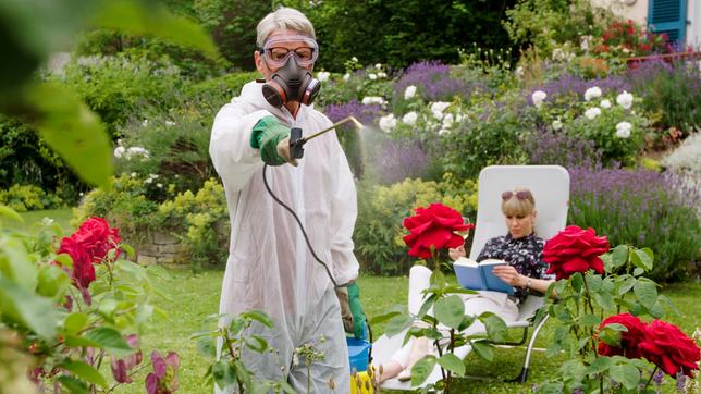 Bild: rbb/rbb Christian Holtmann (Michael Kessler) greift für den perfekten Garten auch zu ungewöhnlichen Mitteln.