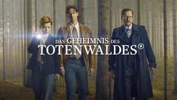 Das Geheimnis des Totenwaldes