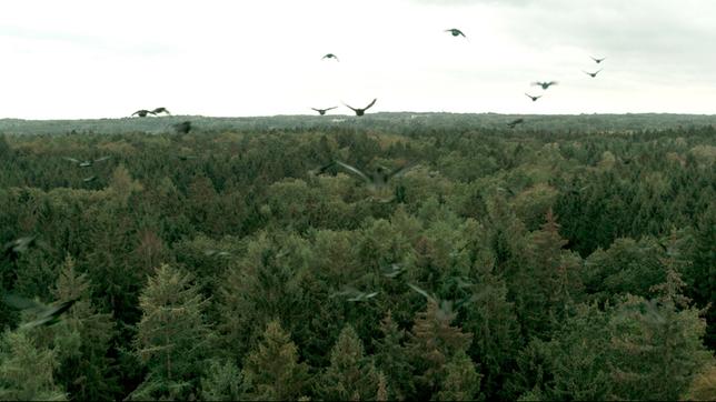 Bild: NDR Der Totenwald