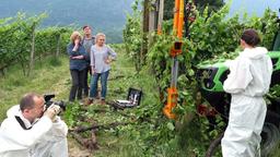 Sabotage auf dem Weingut: Katharina (Lisa Kreuzer) und Laura (Charleen Deetz) ahnen nicht, dass Felix (Harald Windisch) seine Finger im Spiel hat.