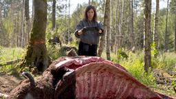 Viktoria (Claudia Eisinger) will herausfinden, wer die Wisent-Kuh geschlachtet hat.