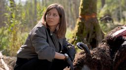 Viktoria (Claudia Eisinger) will herausfinden, wer die Wisent-Kuh geschlachtet hat.