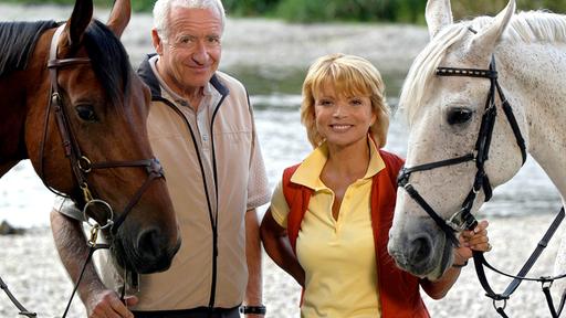 Utta Danella Eine Liebe I Filme Im Ersten Ard Das Erste